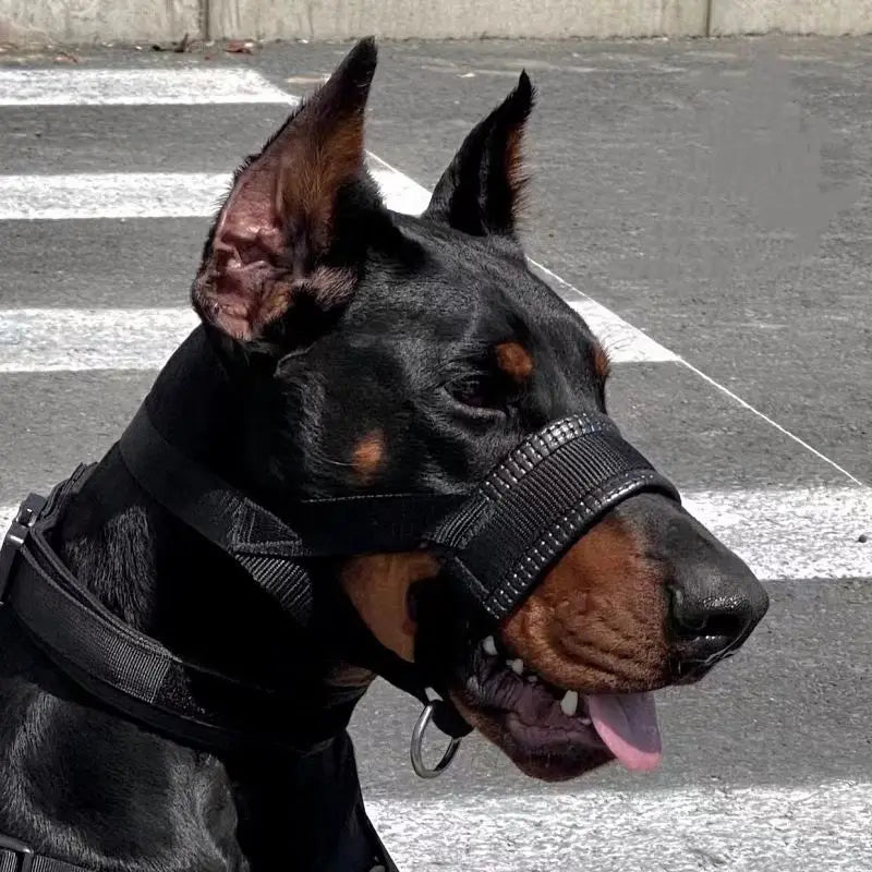 Comfortable Dog Muzzle – Secure & Breathable Design for Safe Walks, Training & Anti-Biting Control