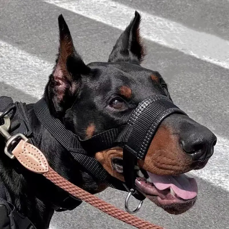 Comfortable Dog Muzzle – Secure & Breathable Design for Safe Walks, Training & Anti-Biting Control