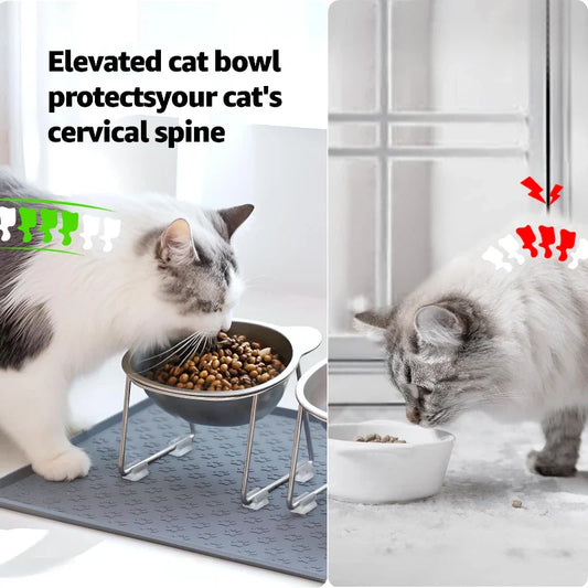 15° Elevated Cat Bowl – Stainless Steel Raised Pet Feeder for Better Digestion & Neck Comfort